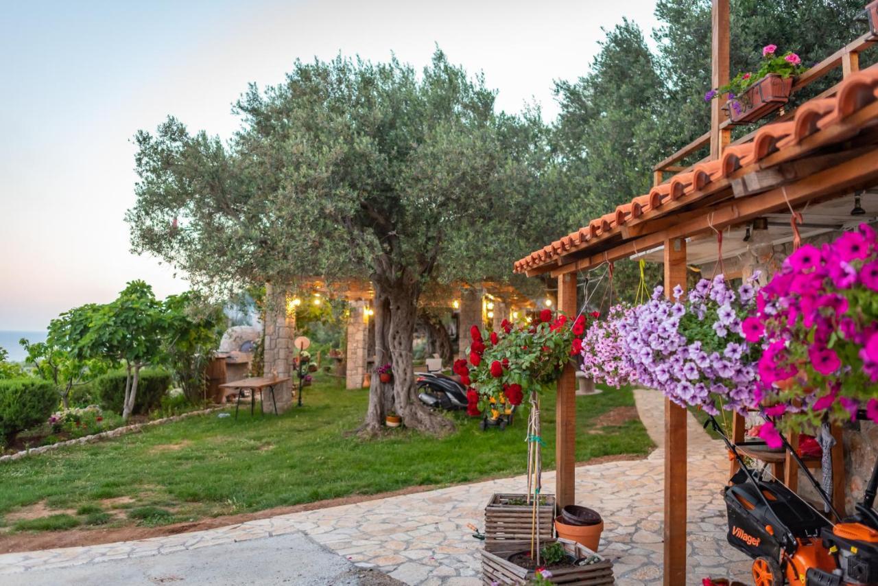 Holiday Park Olive Tree Ulcinj Exterior photo