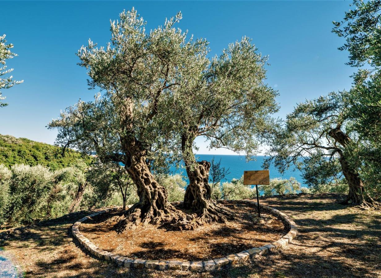 Holiday Park Olive Tree Ulcinj Exterior photo