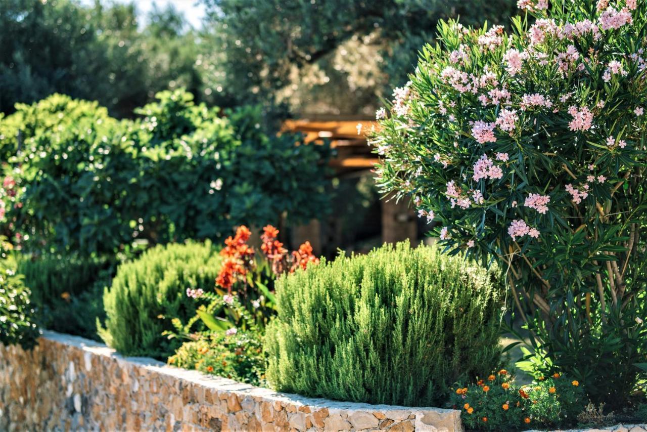 Holiday Park Olive Tree Ulcinj Exterior photo
